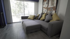 One Bedroom Apartment Del Valle
